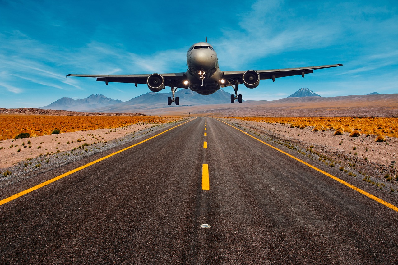 L'Art du Prompt de Voyage aeroplane, nature, fly, flying, landing, transport, highway, road, sky, artwork, brown sky, brown road, brown plane, brown airplane
